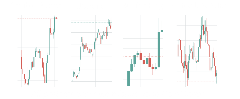 Variety of Pattern Options to choose